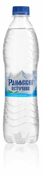 Раифский источник газ. 0,5л