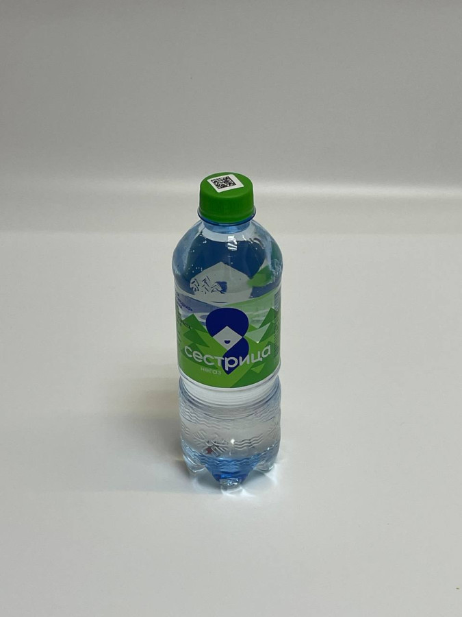 Вода негаз 0,5л Сестрица